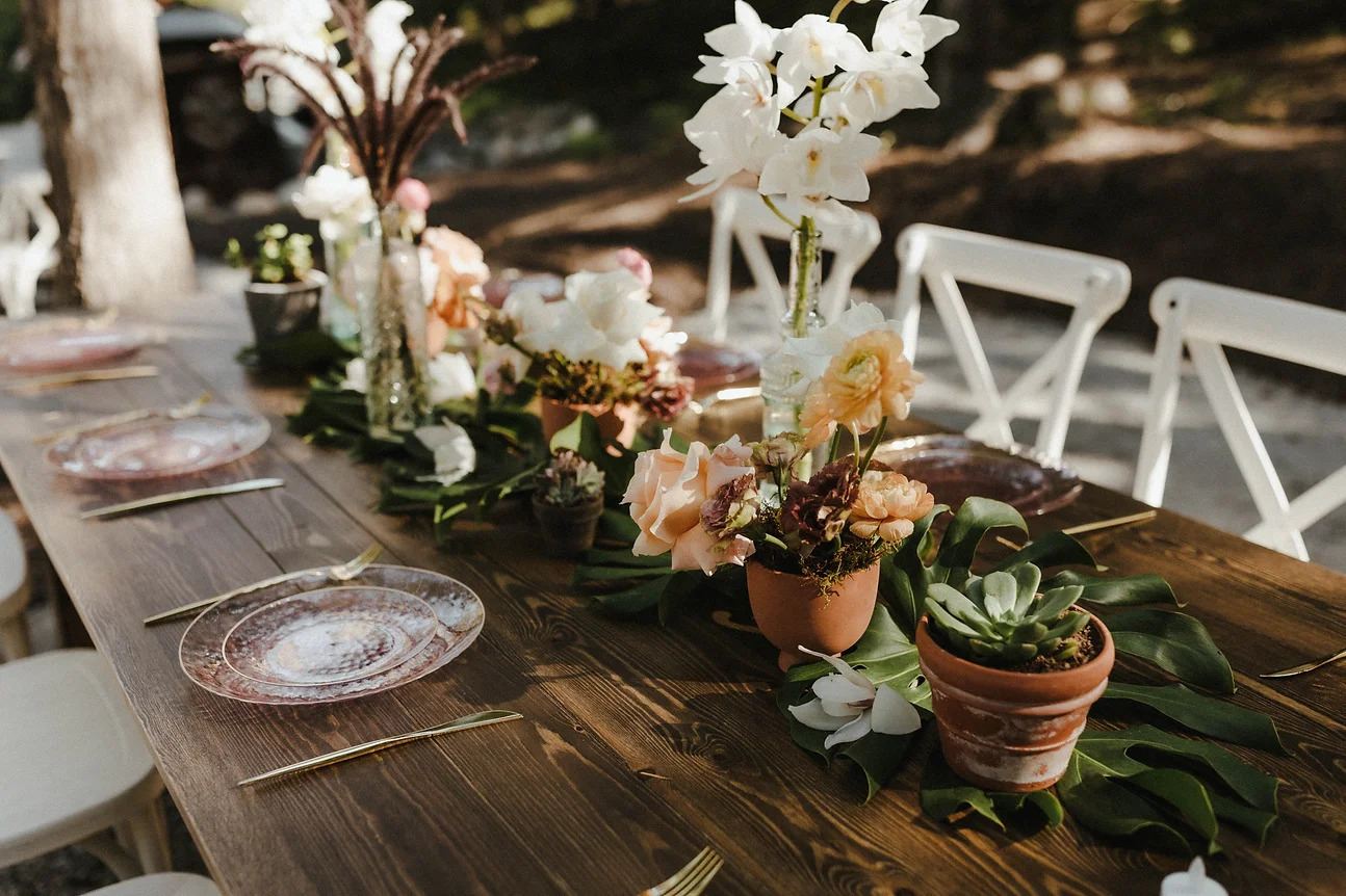 wedding-centerpieces-plants.jpg